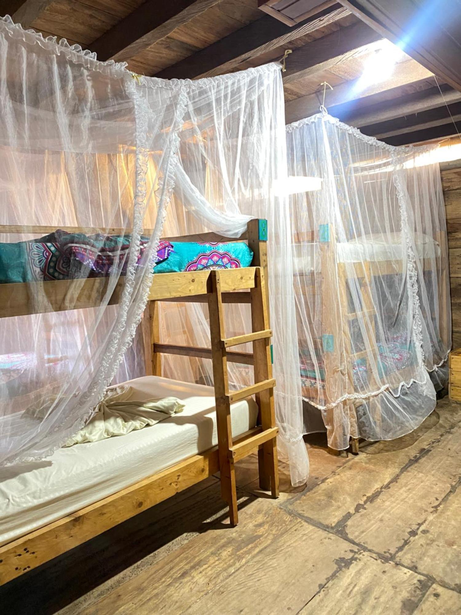 Palmario Hostal Guachaca ภายนอก รูปภาพ