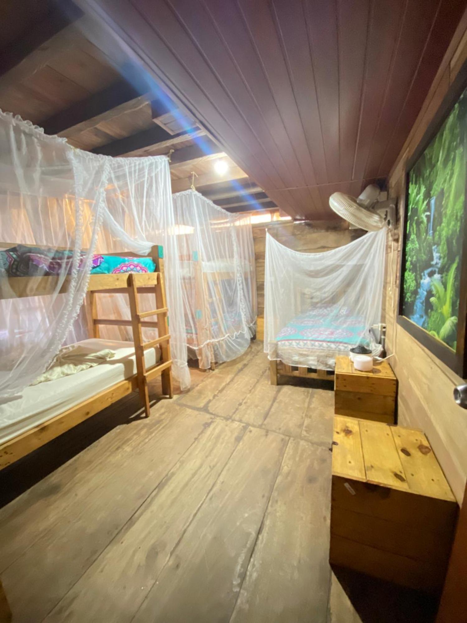 Palmario Hostal Guachaca ภายนอก รูปภาพ